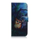 Peněženkové kožené pouzdro na Xiaomi Redmi Note 13 - Oil Painting Owl